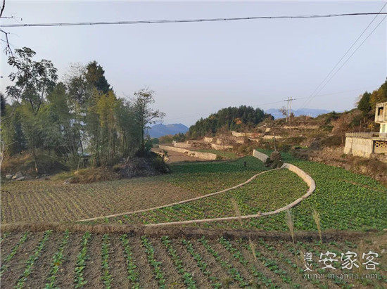 正安县网站建设_(正安县网站建设公司)